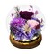 Gifts for Mom Flowers for Delivery Prime Birthday Gifts for Women Mothers Day Grandma Gifts Forever Preserved Flowers Fresh Eternal Rose in Glass Dome for Girlfriend Wife Her